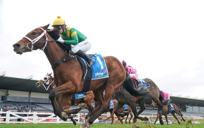 Taramansour’s chance to go one better in Deane Lester Flemington Cup