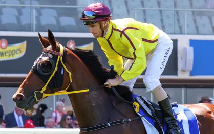 Zipaway and Bustler thriving ahead of Australian Guineas Race Day