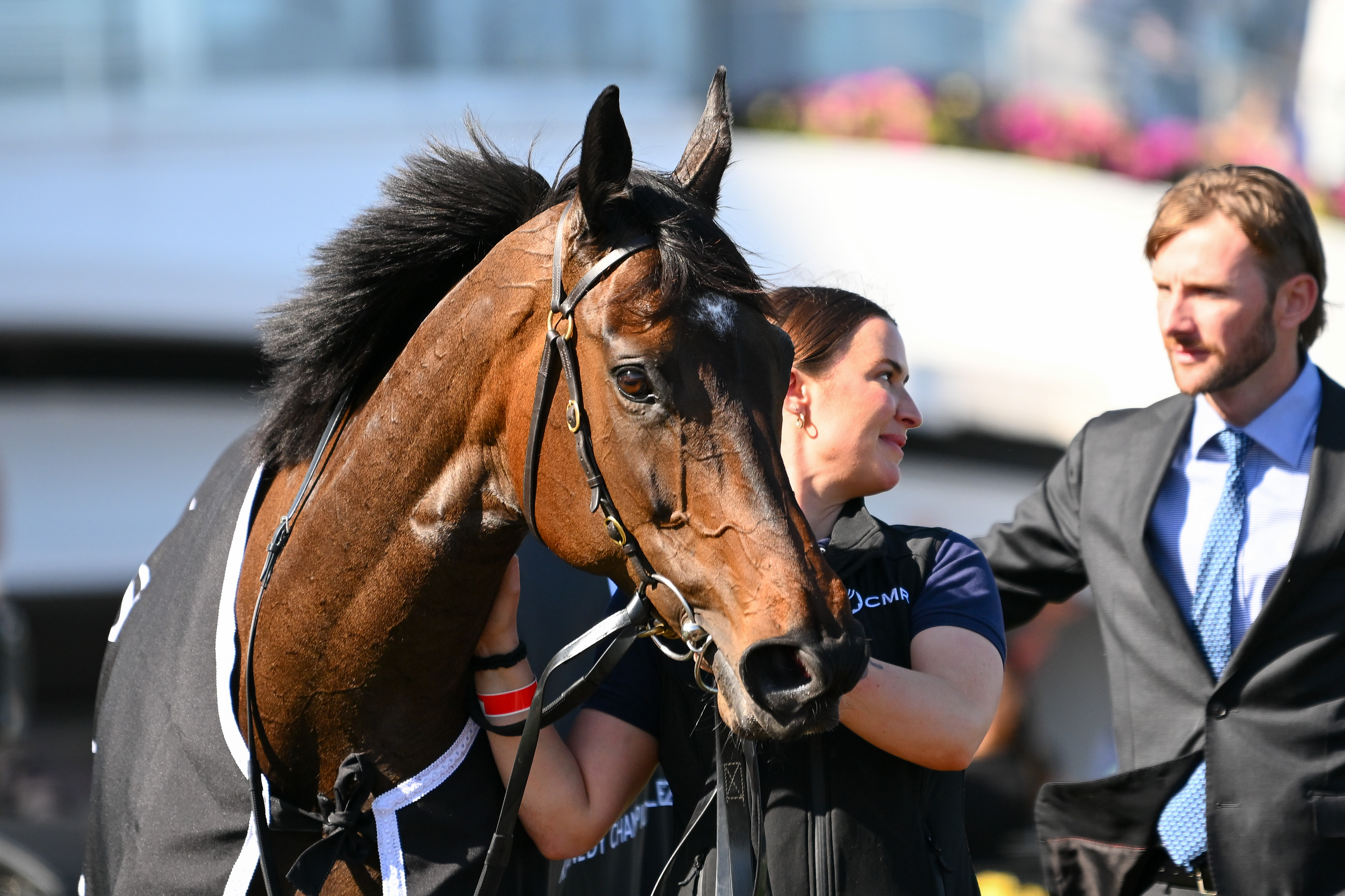 Pride Of Jenni is crowned Australia’s best racehorse