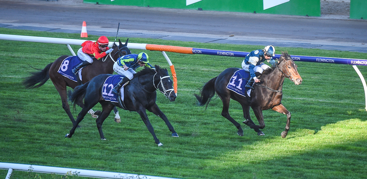 VRC Country Race Day | 7 June 2025 | VRC