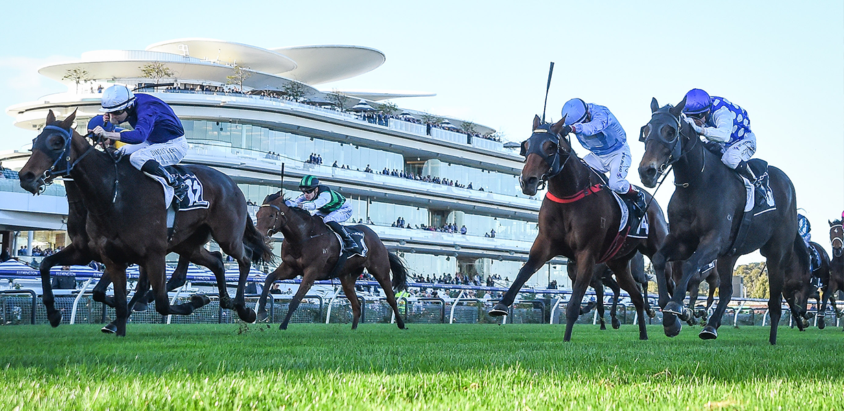 Andrew Ramsden Race Day 17 May 2025 VRC