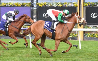 Craig bounces back on Country Race Day
