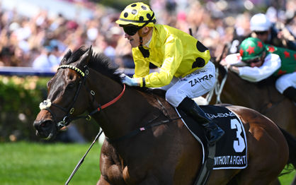 Without A Fight the talk of a nation after Lexus Melbourne Cup success