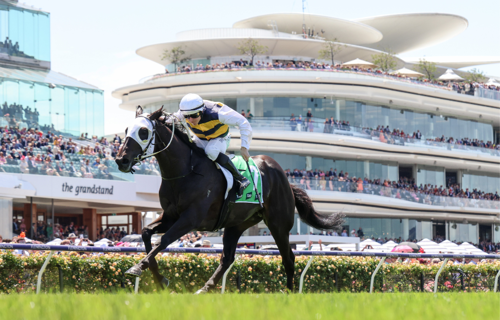 Warmonger won the Listed TAB Trophy (Batman Stakes) on Lexus Melbourne Cup Day in 2023. (George Sal/Racing Photos)