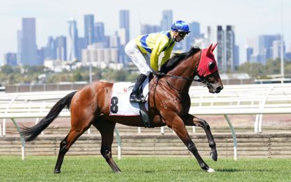 Apulia lines up for Derby honours