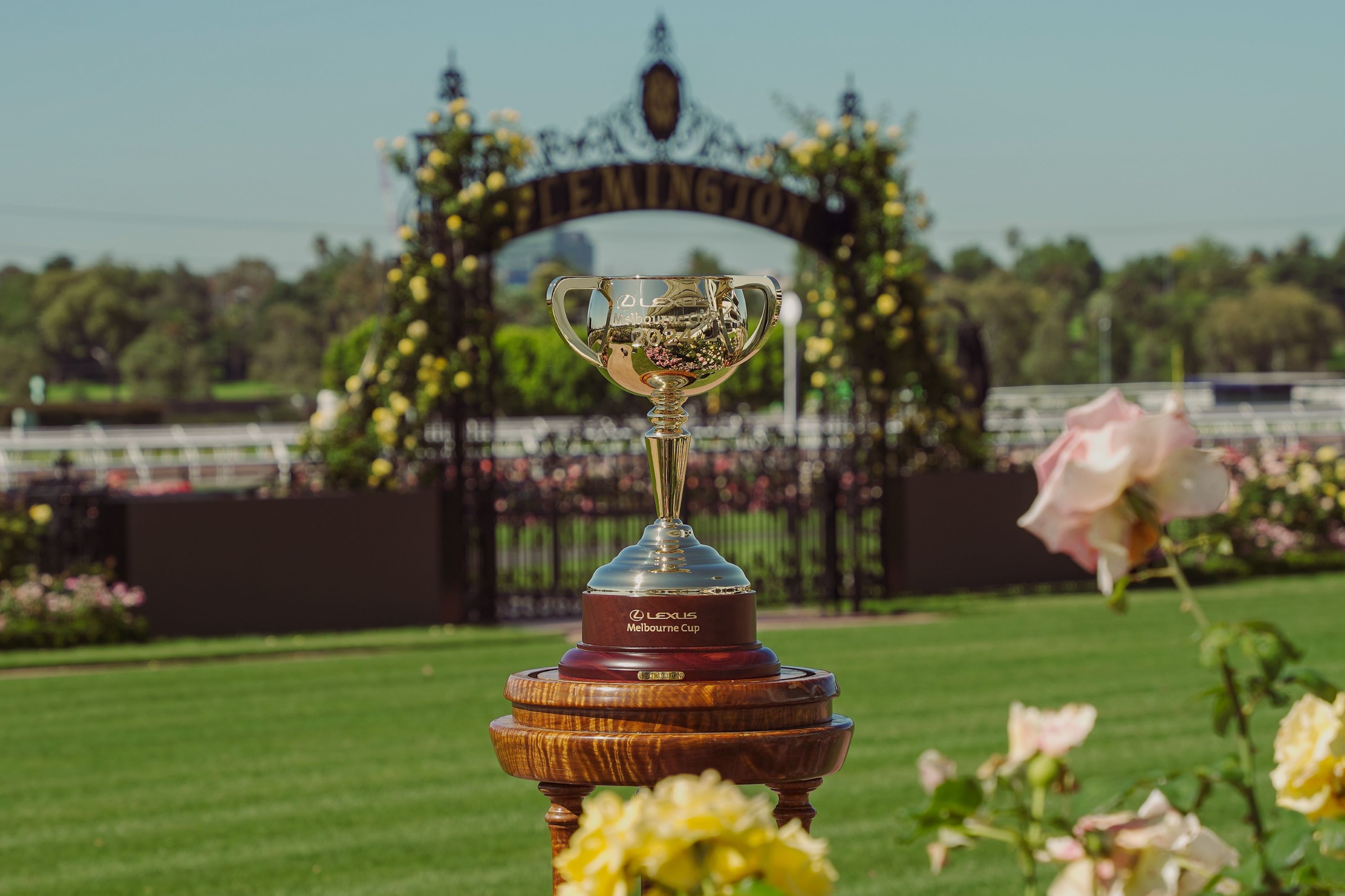 A quick look at the 2024 Melbourne Cup horses